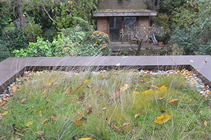  | NYLA HUSSAIN ARCHITECTS